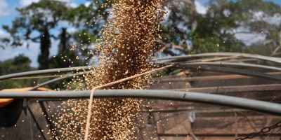 Agrural: Plantio de soja do Brasil chega a 71%; chuvas seguem irregulares