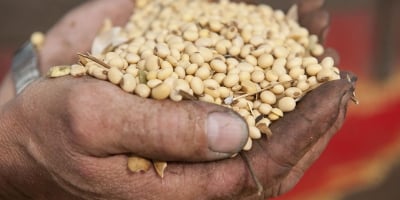 Soja segue lateralizada em Chicago nesta 4ª feira, já alinhando posições antes do final do ano