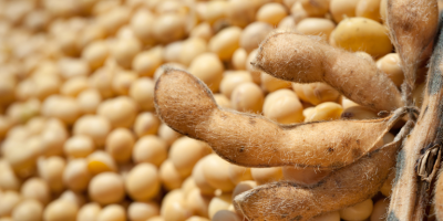 Exportações do agronegócio somam US$ 15,49 bilhões em outubro e registram recorde para o mês