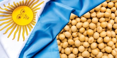 Colheita de soja e plantio de trigo na Argentina são afetados pelo tempo chuvoso