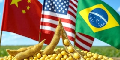 China retira tarifas de produtos dos EUA, mas mantém soja taxada e Chicago sobe, está correto?