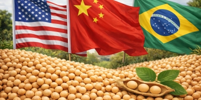 Soja: EUA não podem mais ser competitivos via preço, BR lidera pelo volume, afirma especialista