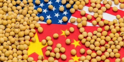 Atenção ao próximo USDA: Números das exportações de soja podem ser reduzidos