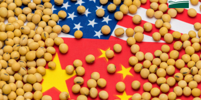 China compra mais 488 mil t de soja 26/27 dos EUA, informa USDA nesta 2ª feira