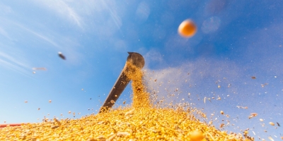 Deral mantém previsão de safra de soja do Paraná