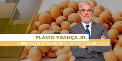 China retoma compras dos EUA e impulsiona Chicago; soja brasileira segue competitiva