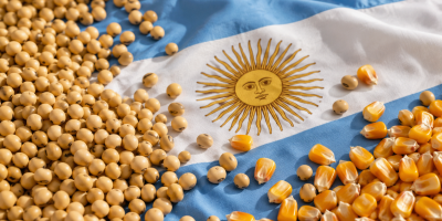 Argentina avança no plantio da soja com boa umidade do solo; milho e arroz evoluem à frente de 2025