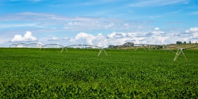 Área plantada com soja em Rondônia deve ultrapassar os 700 mil hectares na safra 2025/2026