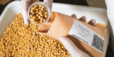 O desenvolvimento de sementes mais resistentes e produtivas é fundamental para o futuro da agricultura