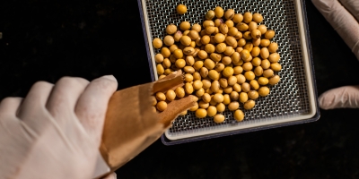 Reforma Tributária: foco nos desafios técnicos para o setor de sementes de soja