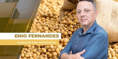 Soja fecha com mais de 1% de baixa em Chicago e, no BR, sente pressão adicional do dólar