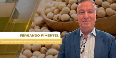 Soja fecha em alta e de volta aos US$ 11,20 em Chicago nesta 4ª; mercado se ajusta antes do USDA