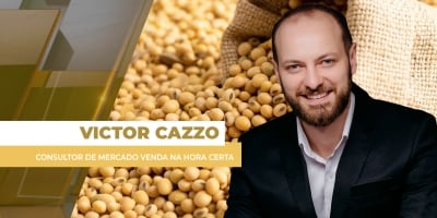 Soja sobe mais de 1% em Chicago e, apesar da baixa do dólar, preços sobem também no Brasil