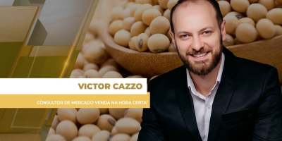 Com Chicago e dólar "estáveis", produtor aproveita momento para tomar decisões, principalmente da safra nova
