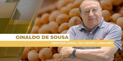USDA reduz área e estoque de soja dos EUA, preços respondem disparando em Chicago nesta terça-feira