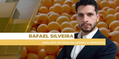 Brasil tem preços de soja ainda sustentados pelos prêmios fortes e momento é de janela de oportunidades