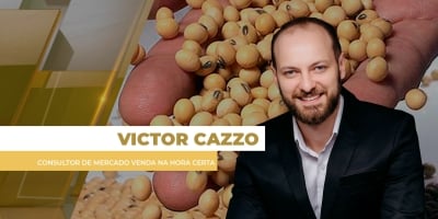 Soja encerra a semana em alta puxada pelo óleo