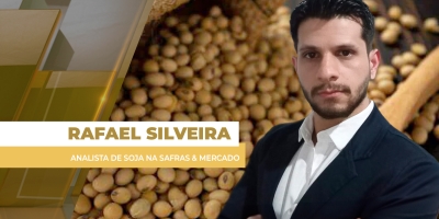 Preços da soja no Brasil tem 2ª feira de estabilidade e porto ainda nos R$ 128; Chicago fecha de lado