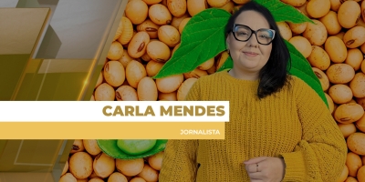 Soja fecha 4ª feira com quase 3% de alta com expectativas de mais compras da China; preços seguem estáveis no BR