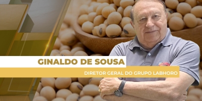 Petróleo caindo 14% em dois dias pressiona óleo e cotações da soja em Chicago nesta 3ªfeira
