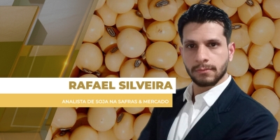 Soja fecha em alta na Bolsa de Chicago nesta 3ª feira, mas baixa do dólar neutraliza ganhos e preços no BR não reagem