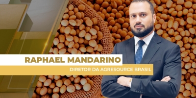 Soja acelera as baixas em Chicago e setembro fecha abaixo dos US$ 10/bushel nesta 4ª feira