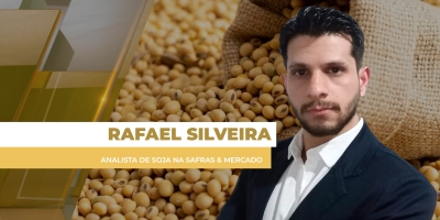 Com novas baixas da soja em Chicago nesta 3ª, mercado segue travado no Brasil