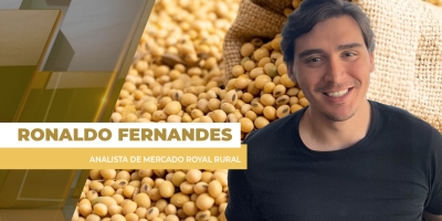 Soja em Chicago volta a subir, mas ganhos não amenizam pressão do dólar sobre os preços no Brasil