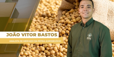 Preços da soja sobem timidamente no mercado brasileiro, enquanto custos da safra 26/27 sobem forte