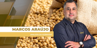 Possibilidade do fim da guerra no Irã tirou força do dólar e trouxe recuos para a soja em Chicago nesta quarta-feira