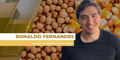 Dólar em alta dá apoio importante aos preços da soja no BR em semana intensa para as commodities