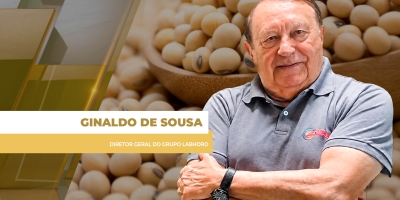 Trump, USDA, El Niño: Soja tem 5ª feira cheia, recuando na Bolsa de Chicago e no Brasil