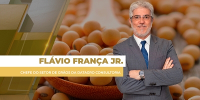 Soja ameniza ganhos com leve alta do dólar, mas ainda fecha positivo em Chicago com avanço do farelo e do trigo