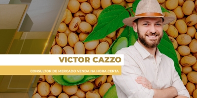 Preços da soja têm alta de até R$ 3/sc em semana de fôlego no Brasil, com Chicago acima dos US$ 11, mas prêmios limitam movimento