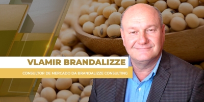 Soja: Preços nos portos do Brasil ainda variam de R$ 127 a R$ 134/sc  e poucas mudanças devem aparecer no curto prazo