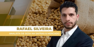 Soja fecha com baixas de dois dígitos nesta 6ª em Chicago e contrato janeiro perde os US$ 10,80/bushel