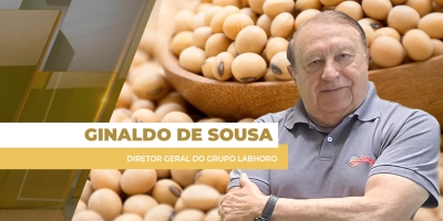 Soja fecha em alta na Bolsa de Chicago nesta 3ª feira; preços no Brasil permanecem estáveis