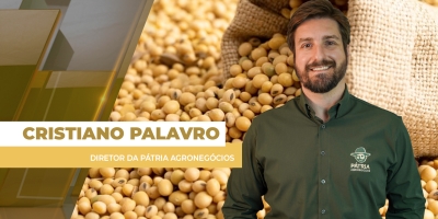 Preços da soja sobem nos portos do BR e voltam a superar os R$ 130/sc com leves ganhos em Chicago e dólar em alta