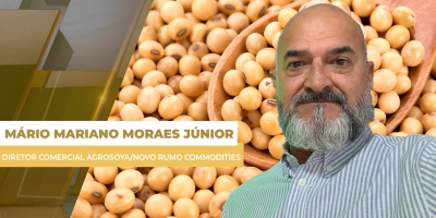 China ainda precisa comprar 19 mi de t de soja até agosto e BR como principal origem dá suporte aos prêmios