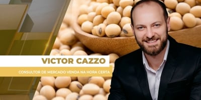 Soja e milho têm momentos distintos de comercialização no Brasil, soja espera enquanto milho vende