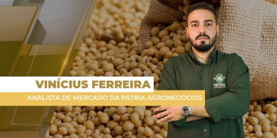 Aumento na demanda por biodiesel nos EUA puxa óleo e cotações da soja se valorizam em Chicago