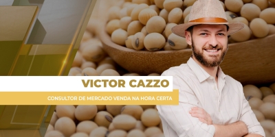 Com preços em alta, Brasil negocia bons volumes de soja na semana