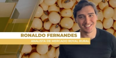 Soja intensifica baixas em Chicago, fecha com mais de 1% de queda e janeiro abaixo dos US$ 11