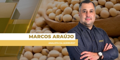 Brasil inicia semana negociando 1 milhão de t de soja nesta 2ª feira, após Chicago testar altas