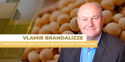 Brasil tem recorde de exportações no complexo soja e China reduz necessidade de compras dos EUA