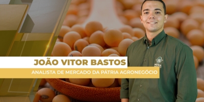 Mercado brasileiro da soja está de olho no dólar, após tarifas de Trump ao Brasil; Chicago fecha em alta