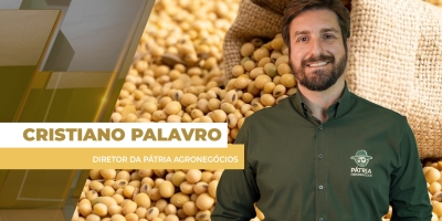 Com dólar abaixo dos R$ 5,10, preços da soja nos portos do Brasil vão abaixo dos R$ 130 por saca nesta 5ª feira