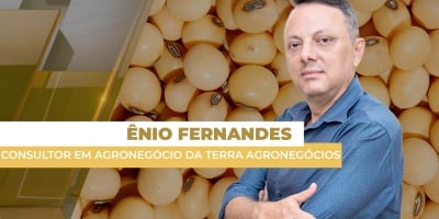 Soja fecha com quase 1% de baixa em Chicago nesta 4ª feira e deixa negócios no BR ainda mais limitados