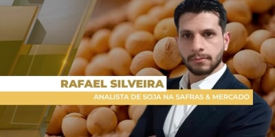 Prêmios da soja no Brasil continuam recuando e testam até 40 cents negativos para safra nova nesta 3ª feira (4)