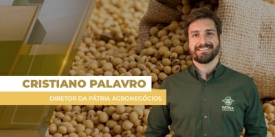 Apesar de novas baixas em Chicago, preços da soja se mantêm no Brasil com dólar ainda alto